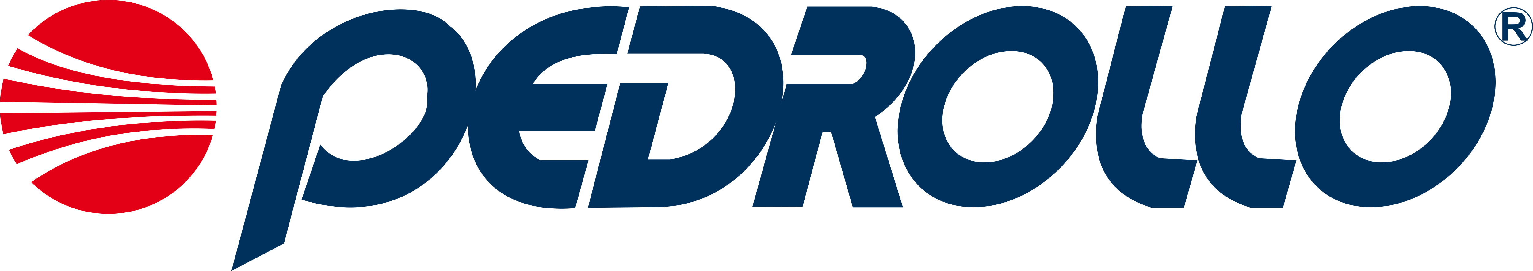 Logo Pedrollo