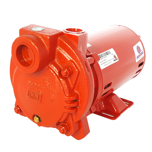 Bomba Regenerativa IHM TE-300MW · 3 HP Monofásica - Hidráulicos Districel