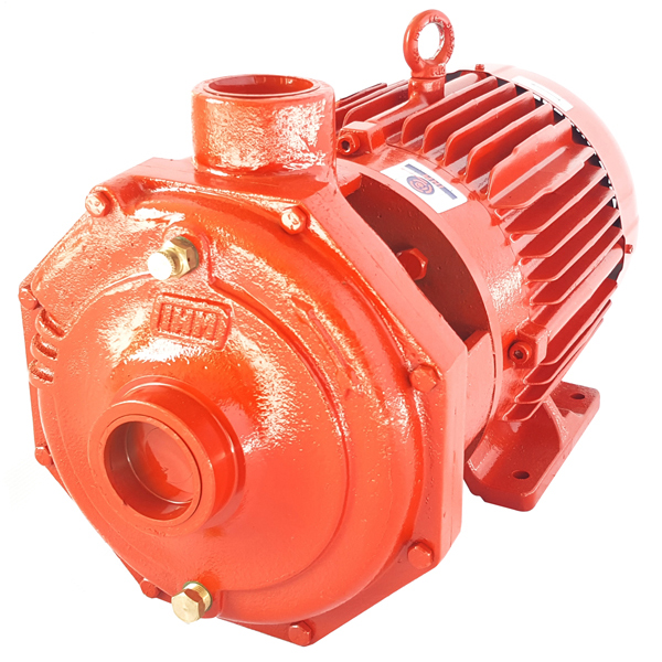 Motobomba Centrífuga IHM 20HH-15W · 15 HP Trifásica - Hidráulicos Districel