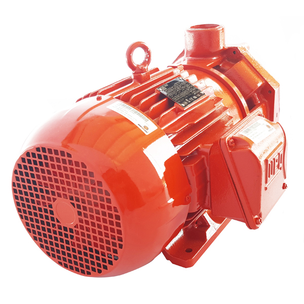 Motobomba Centrífuga IHM 20HH-15W · 15 HP Trifásica - Hidráulicos Districel
