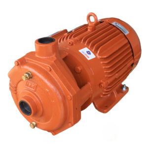 Motobomba Centrífuga IHM 15HH-10TW-IE3 · 10 HP Trifásica - Hidráulicos Districel