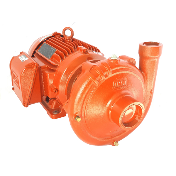 Motobomba Centrífuga IHM 20A-25TW-IE3 · 25 HP Trifásica - Hidráulicos Districel