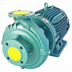 Motobomba Centrífuga IHM 5X26-75TW-IE3 · 75 HP Trifásica - Hidráulicos Districel