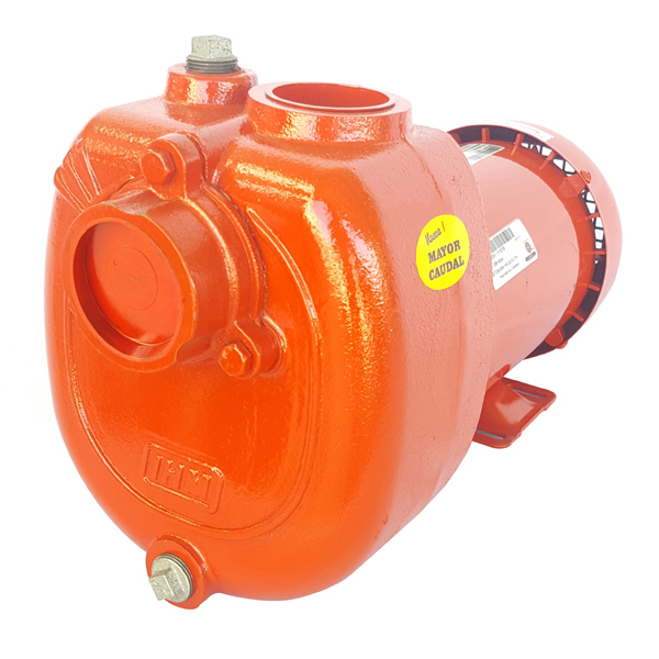 Motobomba Autocebante IHM GS 50-2TW IE3 · 2 HP Trifásica - Hidráulicos Districel