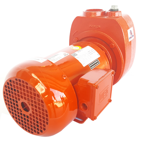 Motobomba Autocebante IHM GS 50-2TW IE3 · 2 HP Trifásica - Hidráulicos Districel