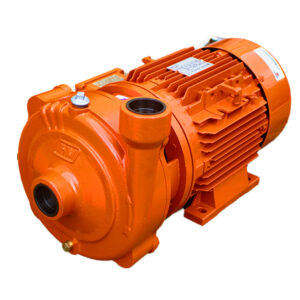 Motobomba Centrífuga IHM 15H-10TTP IE3 · 10 HP Trifásica - Hidráulicos Districel