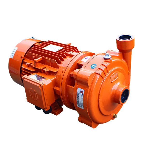 Motobomba Centrífuga IHM 15H-10TTP IE3 · 10 HP Trifásica - Hidráulicos Districel