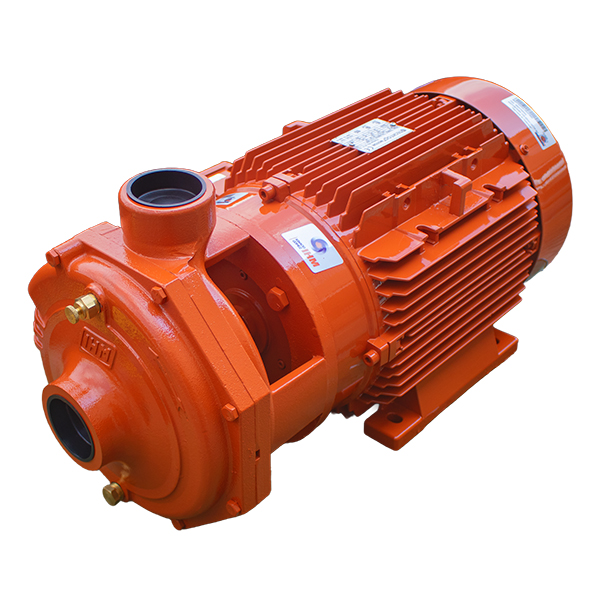 Motobomba Centrífuga IHM 15HH-7.5TTP IE3 · 7.5 HP Trifásica - Hidráulicos Districel
