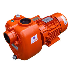 Motobomba Autocebante IHM GS 75-7.5TTP IE3 · 7.5 HP Trifásica - Hidráulicos Districel