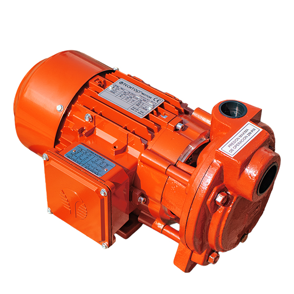 Bomba Regenerativa IHM TE-300TTP IE3 · 3 HP Trifásica - Hidráulicos Districel